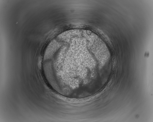 X0000098210026200805151304