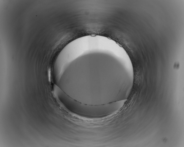 X0000098210027200805151304