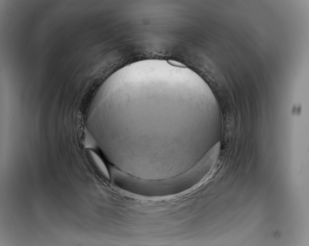 X0000098210029200805151304
