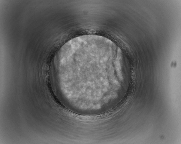 X0000098210030200805151304