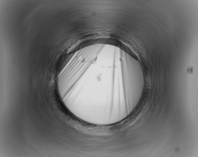 X0000098210032200805151304