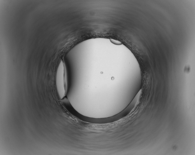 X0000098210033200805151304