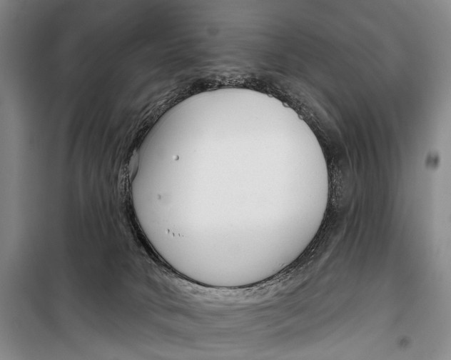 X0000098210034200805151304