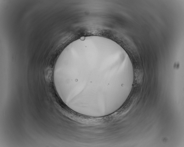 X0000098210036200805151304