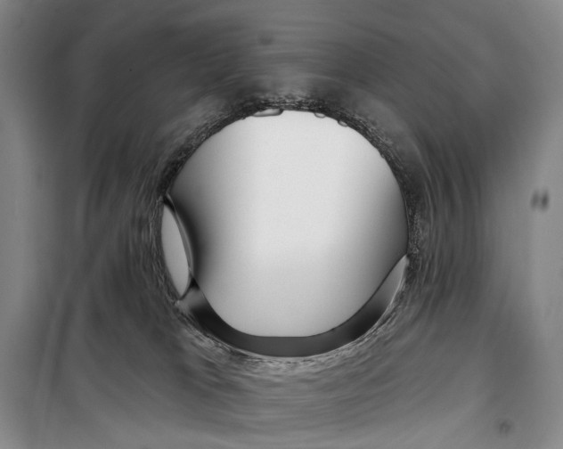 X0000098210037200805151304