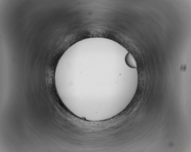 X0000098210038200805151304