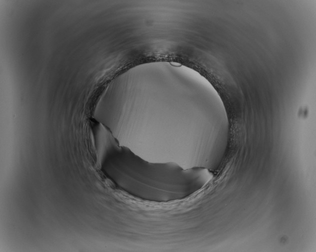 X0000098210039200805151304