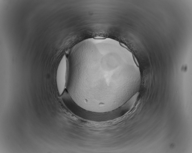X0000098210041200805151304