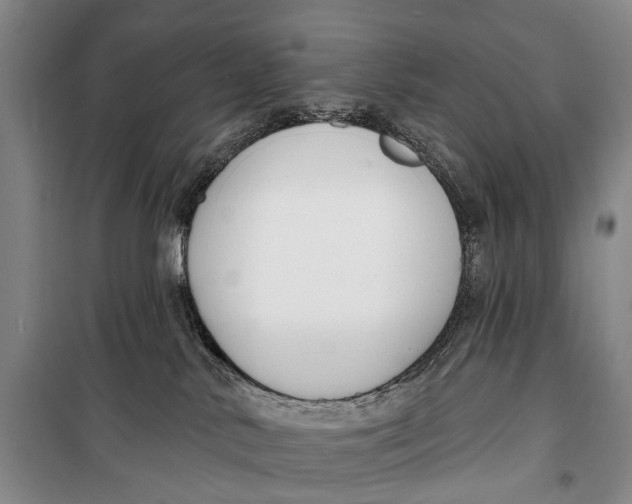 X0000098210042200805151304