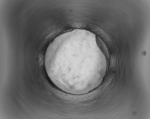 X0000098210043200805151304