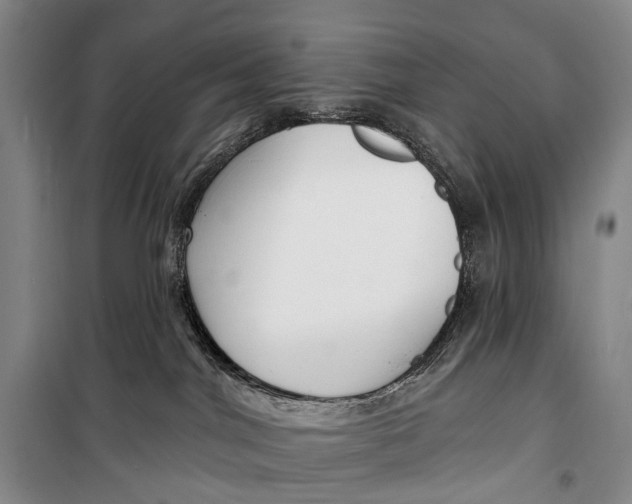 X0000098210044200805151304