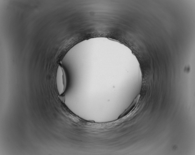 X0000098210045200805151304
