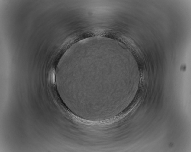 X0000098210046200805151304