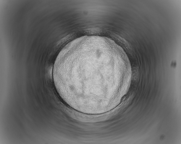 X0000098210047200805151304