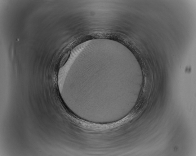 X0000098210048200805151304
