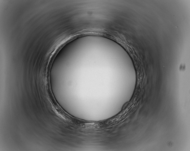 X0000098210050200805151303