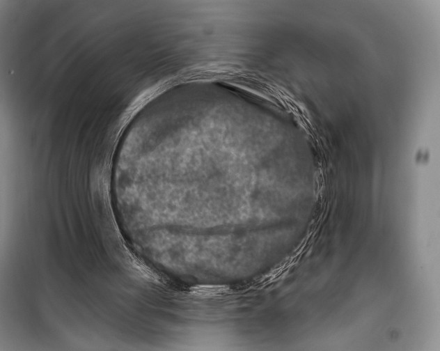 X0000098210051200805151303