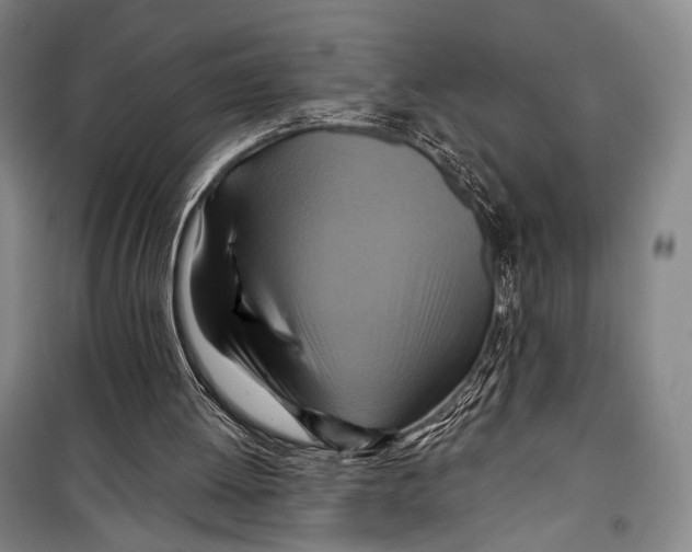 X0000098210052200805151303