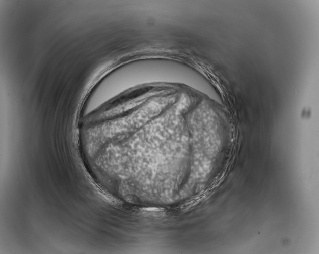 X0000098210053200805151303