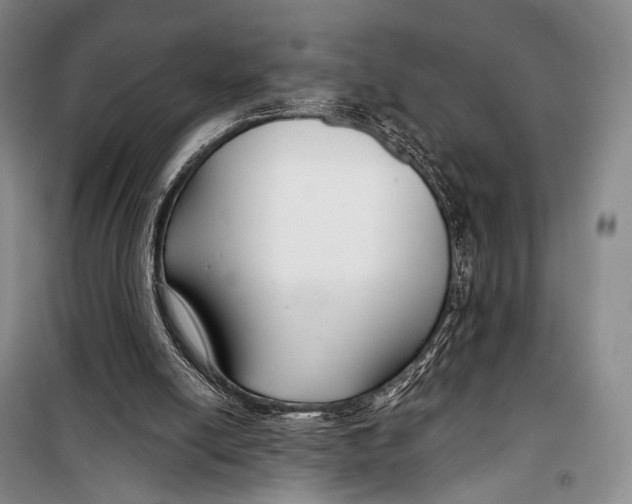 X0000098210054200805151303