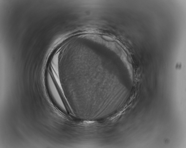 X0000098210055200805151303