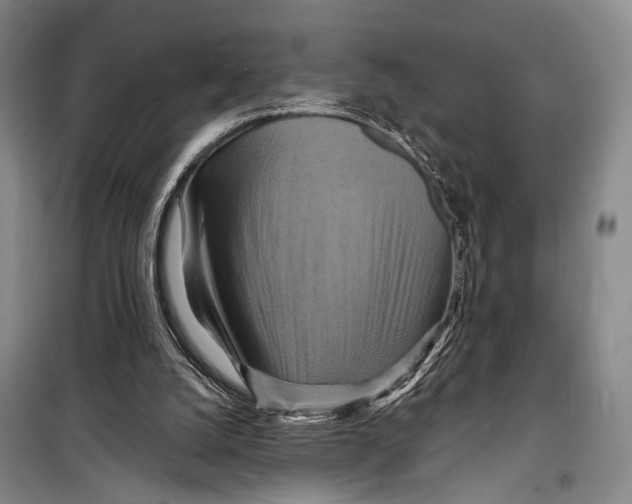 X0000098210056200805151303