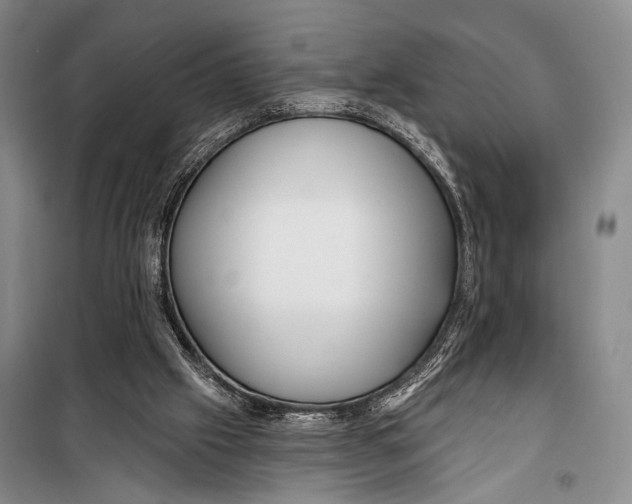 X0000098210057200805151303