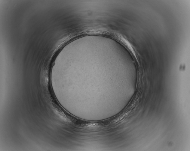 X0000098210059200805151303