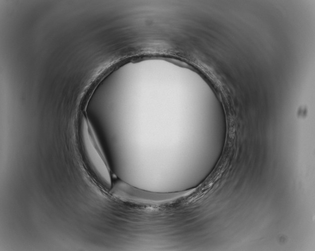 X0000098210060200805151303