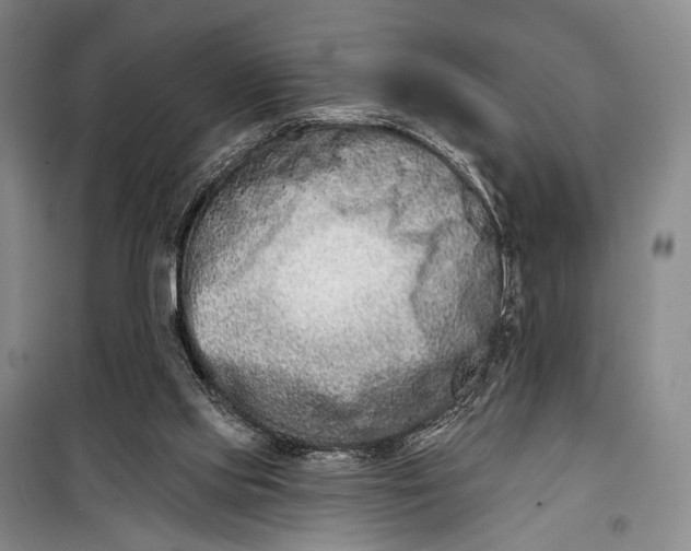 X0000098210061200805151303