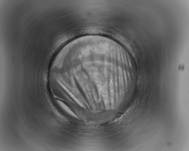 X0000098210063200805151303