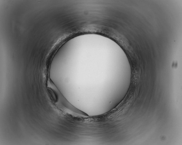 X0000098210064200805151303