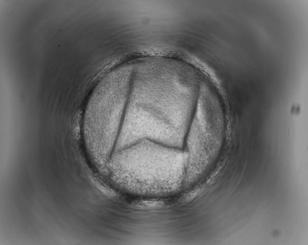 X0000098210065200805151303