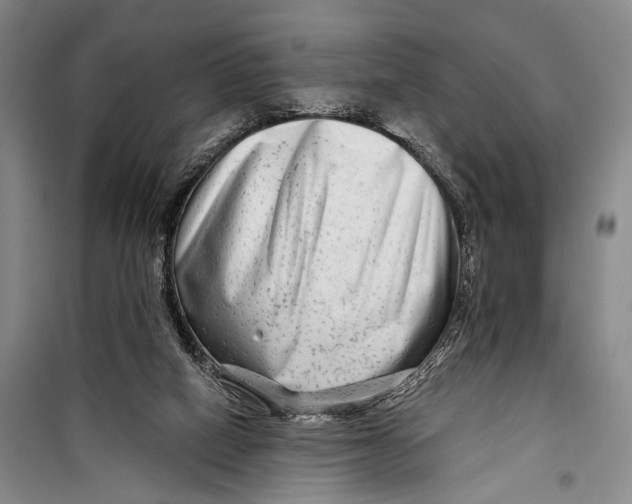 X0000098210066200805151303
