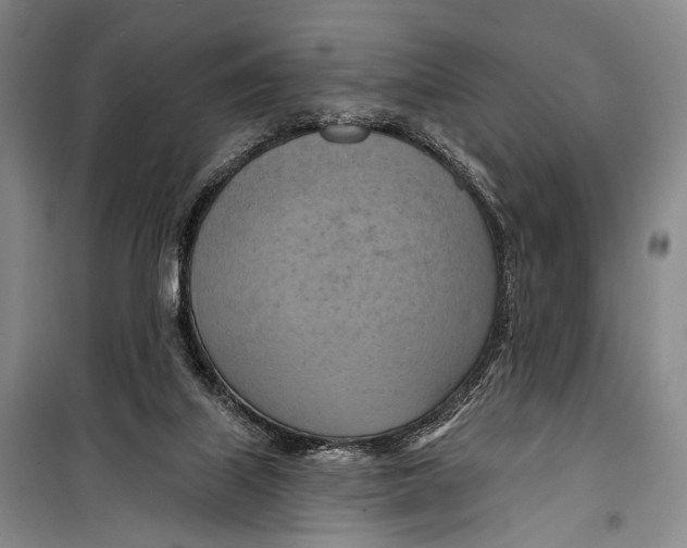 X0000098210067200805151303