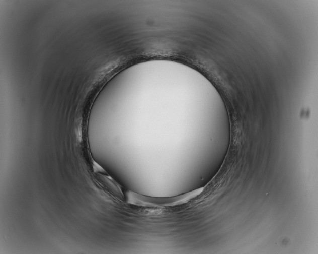 X0000098210068200805151303