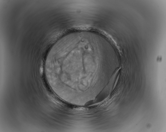 X0000098210069200805151303