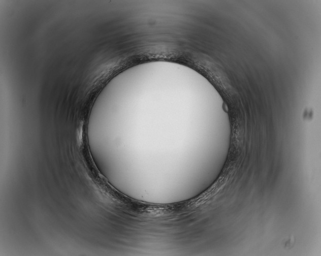 X0000098210070200805151303