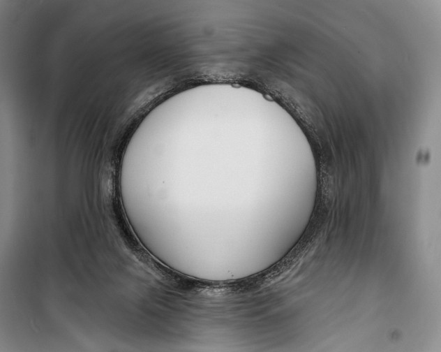 X0000098210071200805151303
