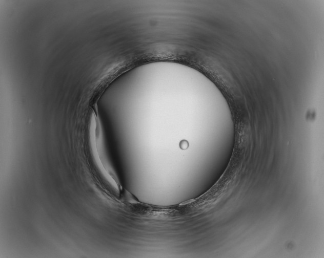 X0000098210072200805151303