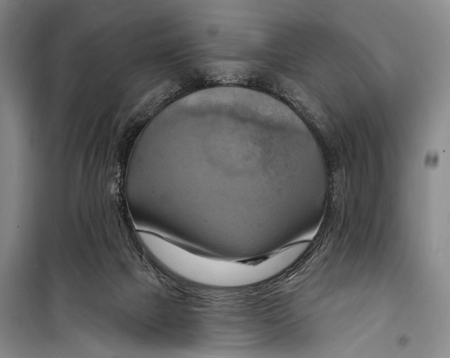 X0000098210073200805151303
