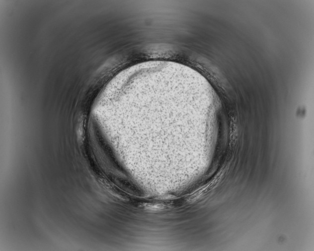X0000098210074200805151303