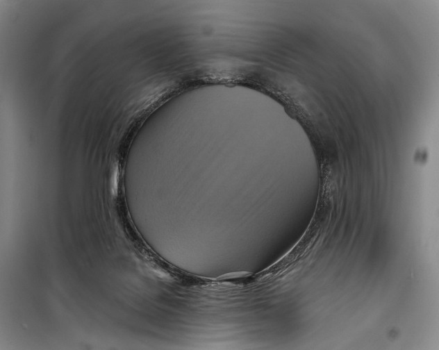 X0000098210076200805151303