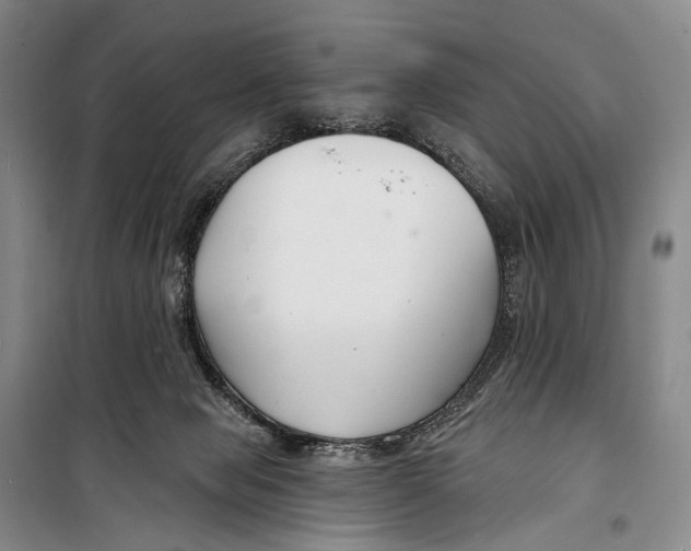 X0000098210077200805151303