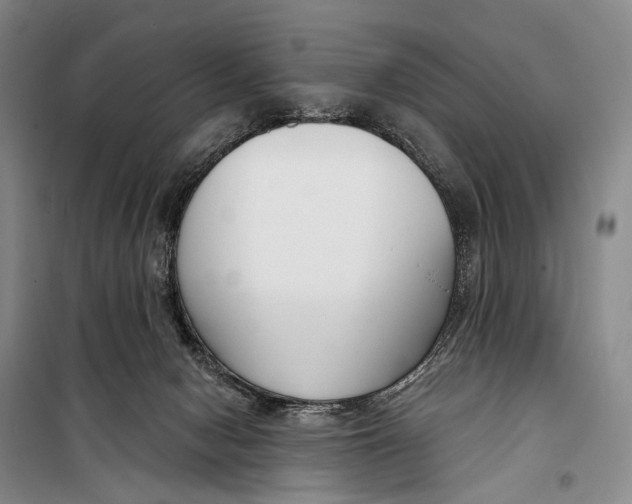 X0000098210078200805151303