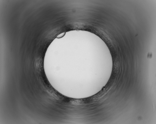 X0000098210079200805151303
