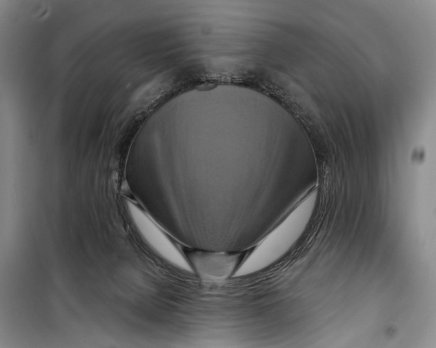 X0000098210080200805151303