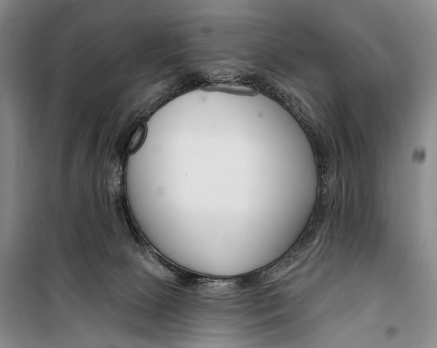 X0000098210081200805151303