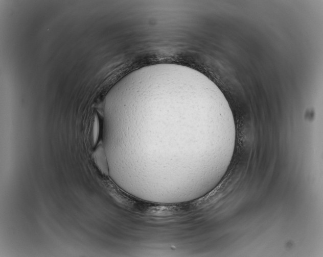X0000098210082200805151303