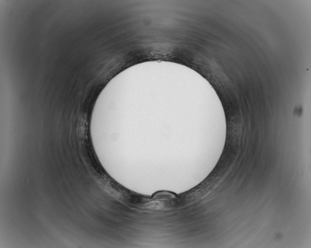 X0000098210083200805151303